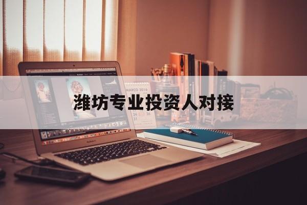 邯郸市潍坊专业投资人对接(潍坊专业投资人对接中心)