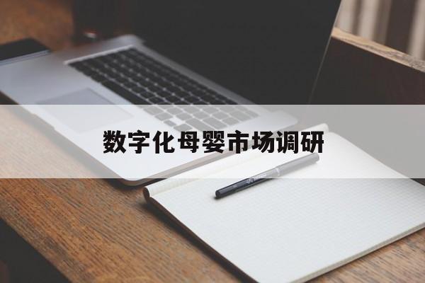 邯郸市数字化母婴市场调研(数字化母婴市场调研报告)